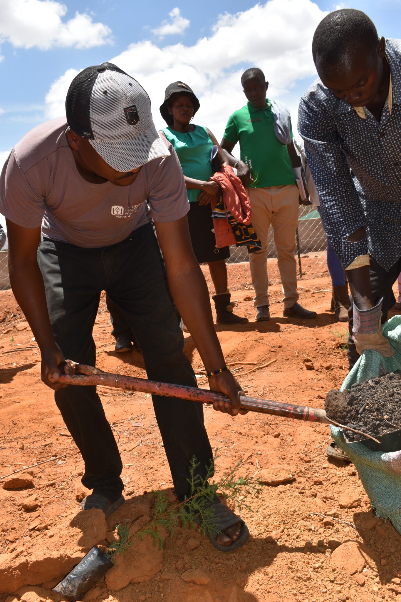 Community members working with soil and seedlings